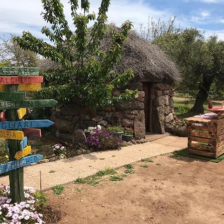 Azienda Agricola Affittacamere S'Ispinalba Di Laura Pitzolu Borore ภายนอก รูปภาพ