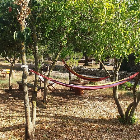 Azienda Agricola Affittacamere S'Ispinalba Di Laura Pitzolu Borore ภายนอก รูปภาพ